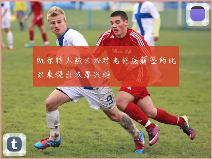 凯尔特人热火均对老将底薪签约比尔表现出浓厚兴趣