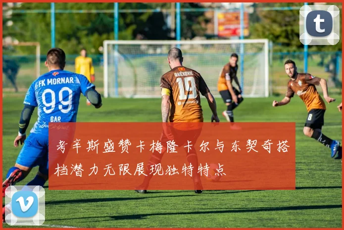 考辛斯盛赞卡梅隆卡尔与东契奇搭档潜力无限展现独特特点