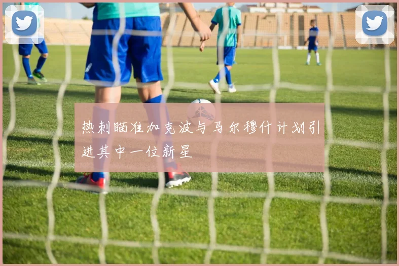 热刺瞄准加克波与马尔穆什计划引进其中一位新星
